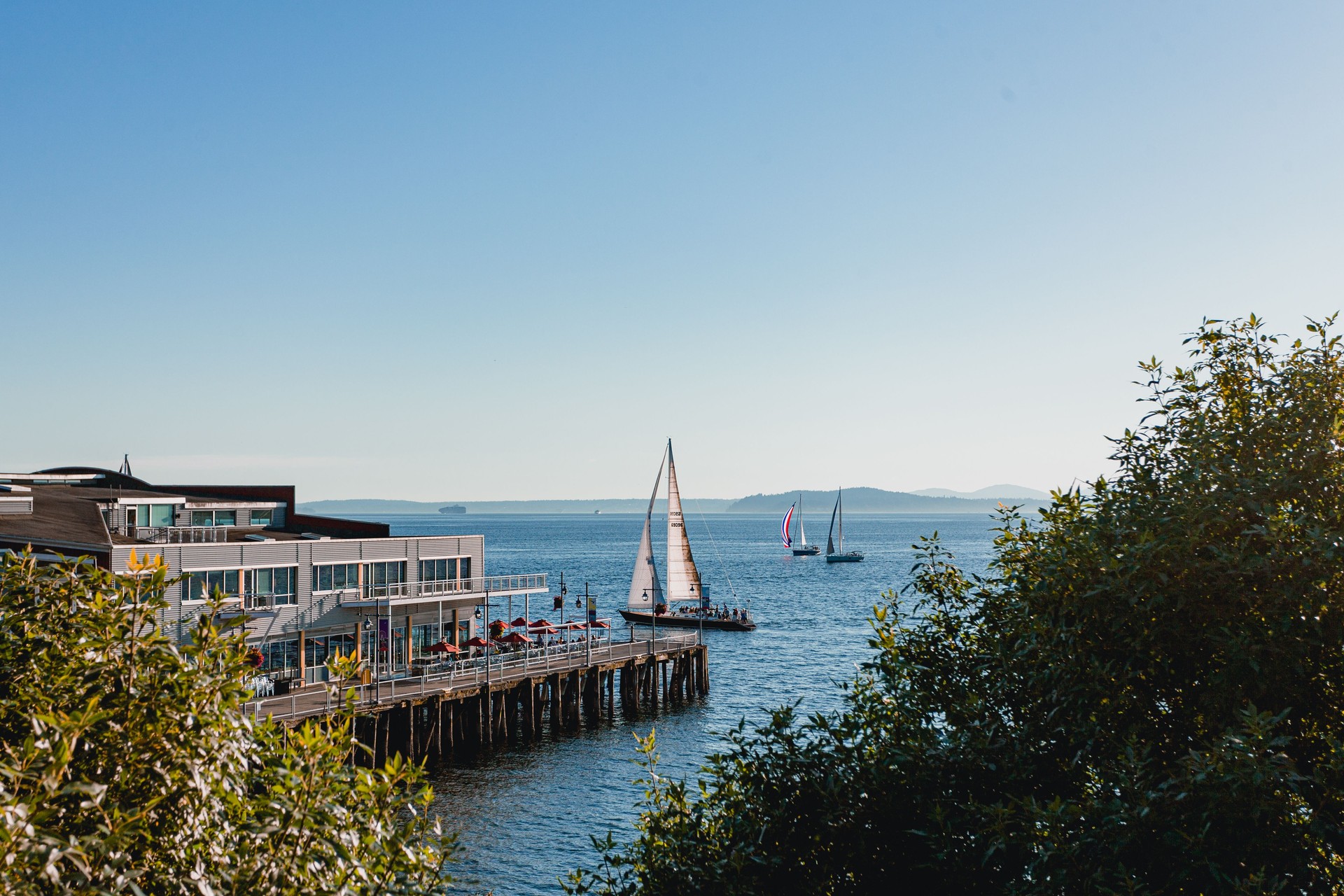 Sailboats on Elliot Bay in Seattle Washington